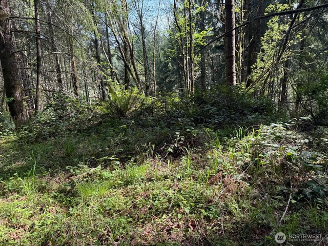 0 Halliday Rd, Centralia, WA 98531