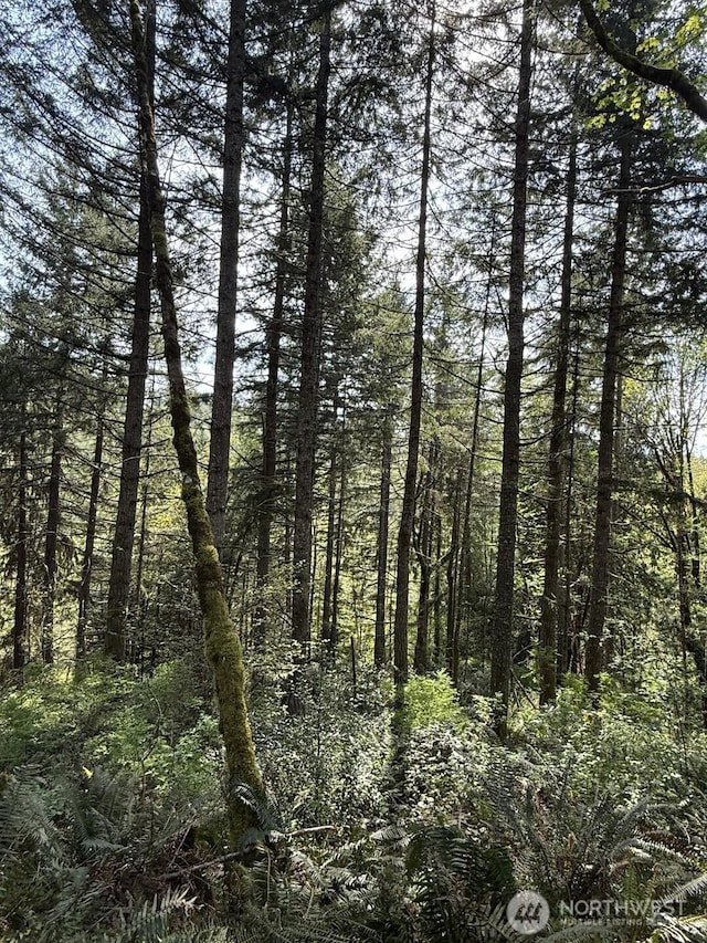 0 Halliday Rd, Centralia, WA 98531