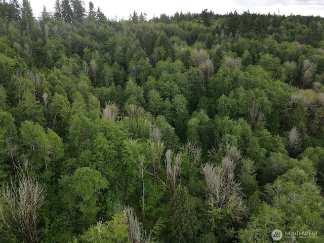 0 Halliday Rd, Centralia, WA 98531