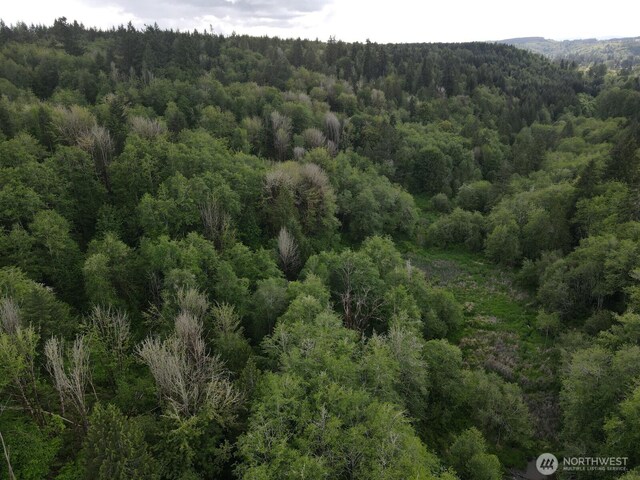 0 Halliday Rd, Centralia, WA 98531