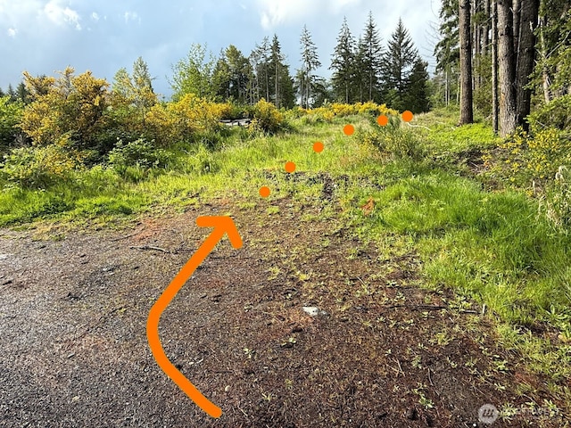 0 Halliday Rd, Centralia, WA 98531