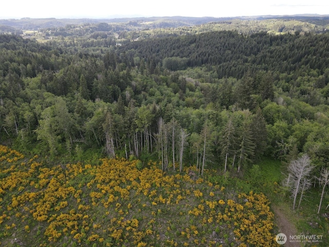 0 Halliday Rd, Centralia, WA 98531