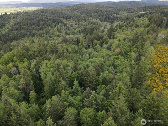 0 Halliday Rd, Centralia, WA 98531