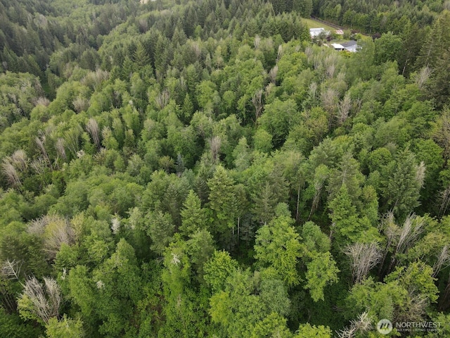 0 Halliday Rd, Centralia, WA 98531