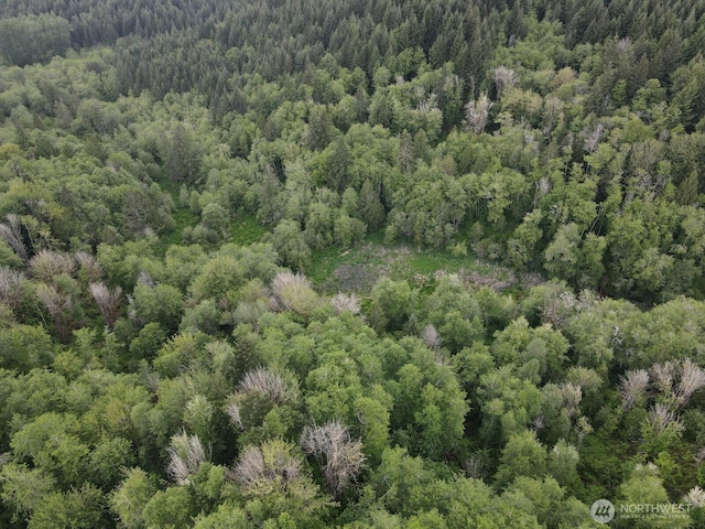 0 Halliday Rd, Centralia, WA 98531