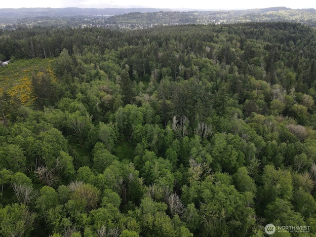 0 Halliday Rd, Centralia, WA 98531