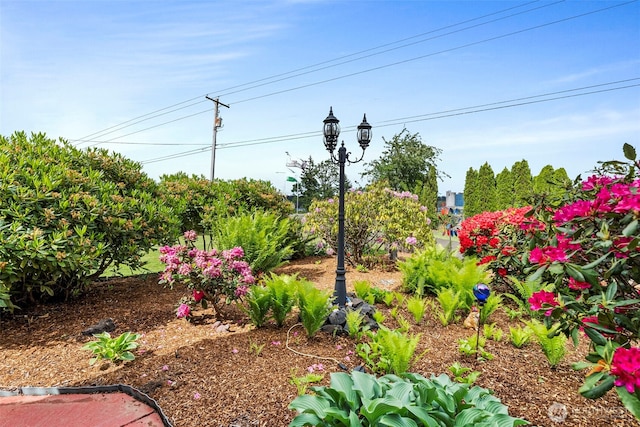 1656 Bishop Rd, Chehalis, WA 98532 - view of yard