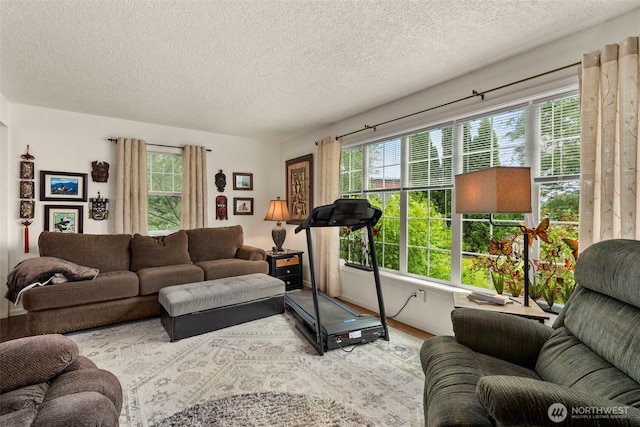1656 Bishop Rd, Chehalis, WA 98532 - living area featuring a textured ceiling and wood finished floors