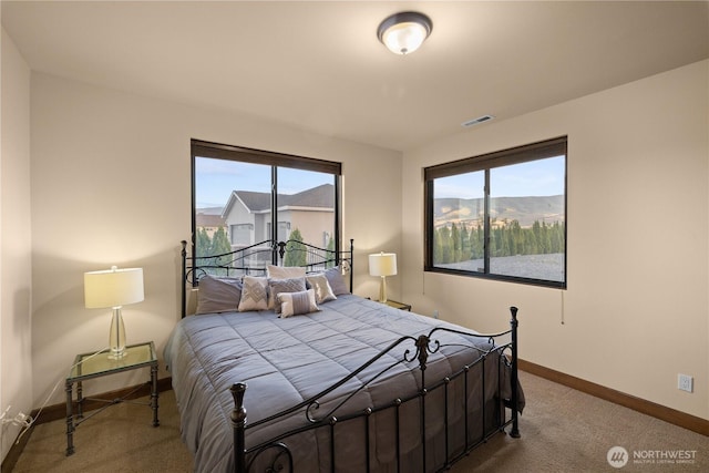 510 Lakeside Way SW, Mattawa, WA 99349 - bedroom featuring carpet flooring, baseboards, and multiple windows