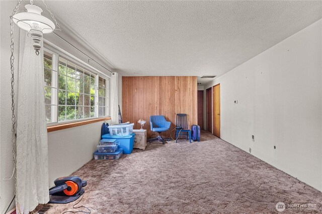 9712 126th St E, Puyallup, WA 98373 - unfurnished room featuring carpet floors, wood walls, and a textured ceiling