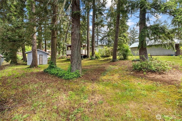 9712 126th St E, Puyallup, WA 98373 - view of yard
