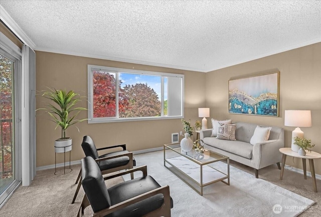13013 E Gibson Rd Unit M223, Everett, WA 98204 - carpeted living room with a textured ceiling and baseboards