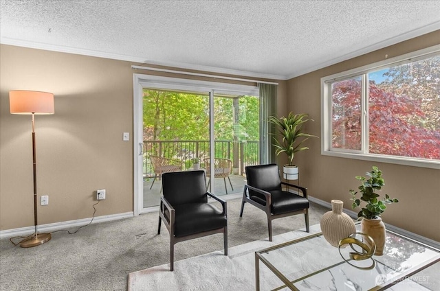 13013 E Gibson Rd Unit M223, Everett, WA 98204 - living area featuring carpet, ornamental molding, a textured ceiling, and baseboards