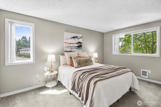 13013 E Gibson Rd Unit M223, Everett, WA 98204 - bedroom featuring multiple windows, carpet flooring, baseboards, and a textured ceiling