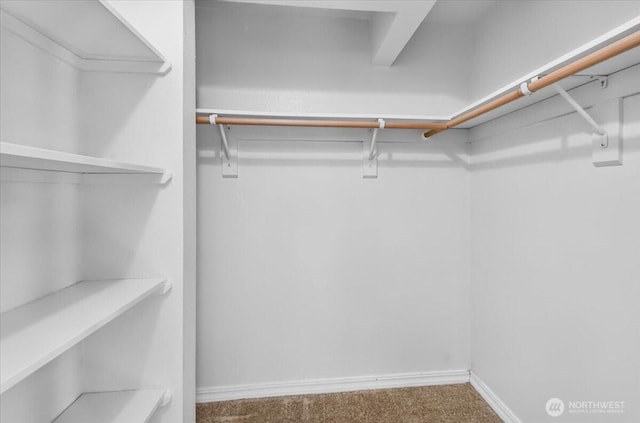 13013 E Gibson Rd Unit M223, Everett, WA 98204 - spacious closet featuring carpet