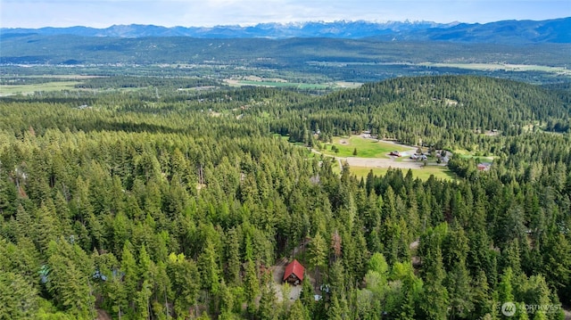 760 Rodeo Rd, Cle Elum, WA 98922 - aerial view of a forest and mountains