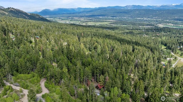 760 Rodeo Rd, Cle Elum, WA 98922 - aerial view of property and surrounding area featuring a forest and a mountainous background
