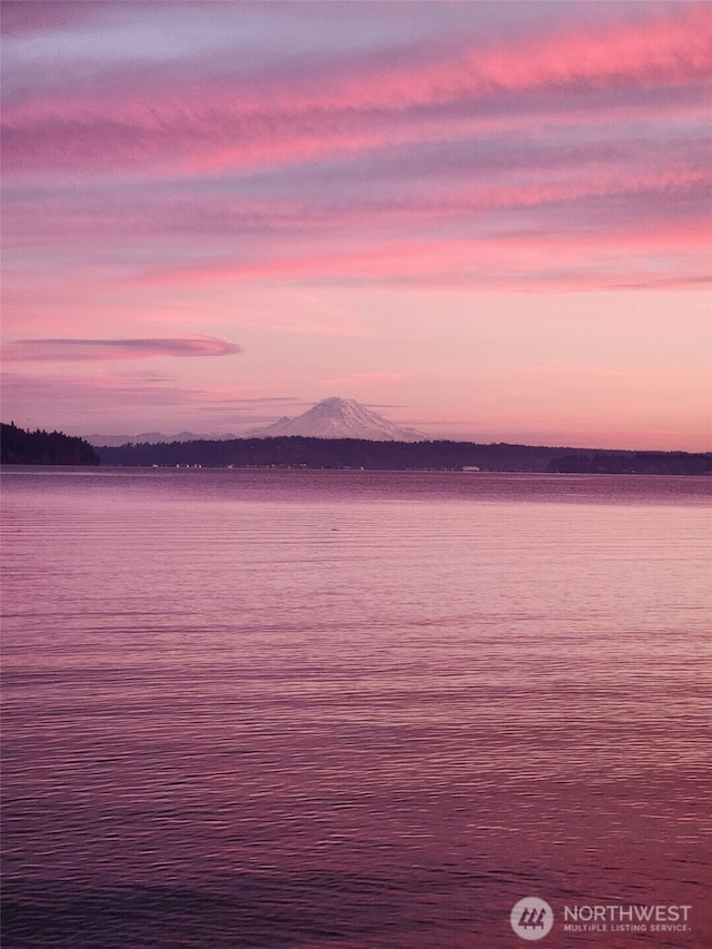 8609 E Caraway Rd, Port Orchard, WA 98366 - water view featuring a mountainous background