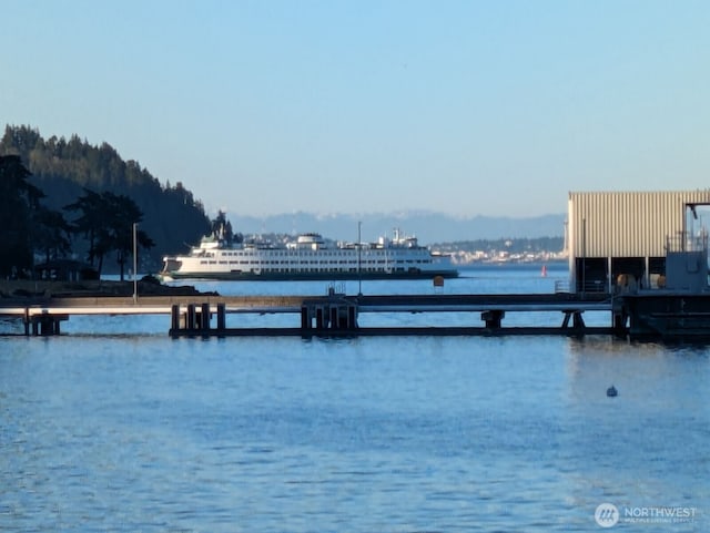 8609 E Caraway Rd, Port Orchard, WA 98366 - water view