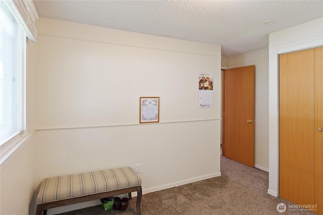 2018 S 253rd St, Des Moines, WA 98198 - living area with carpet, baseboards, and a textured ceiling