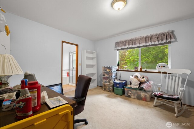 26603 199th Pl SE, Covington, WA 98042 - view of carpeted office