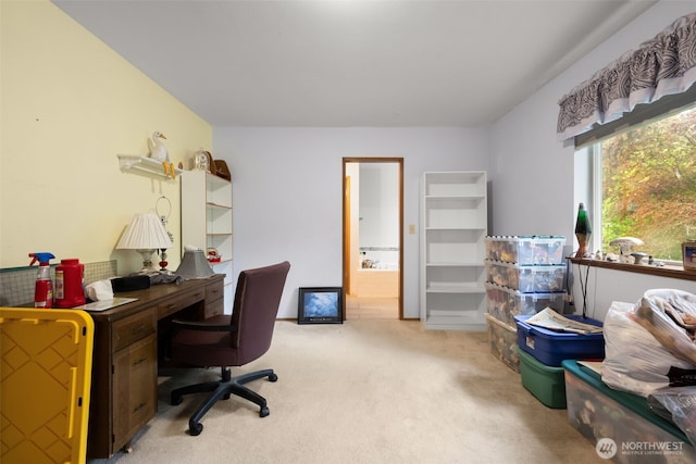 26603 199th Pl SE, Covington, WA 98042 - office with light carpet