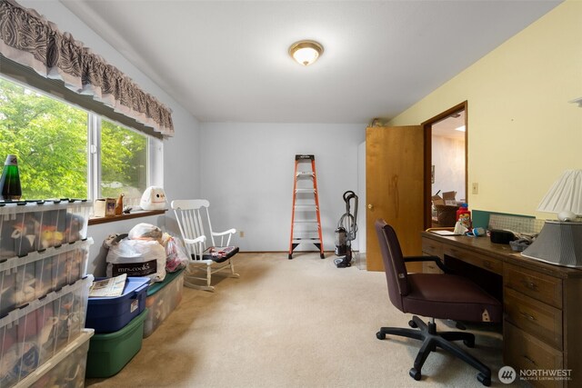 26603 199th Pl SE, Covington, WA 98042 - view of carpeted office space