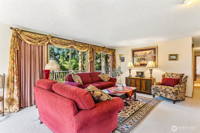 38205 183rd Ave SE, Auburn, WA 98092 - carpeted living area featuring a textured ceiling