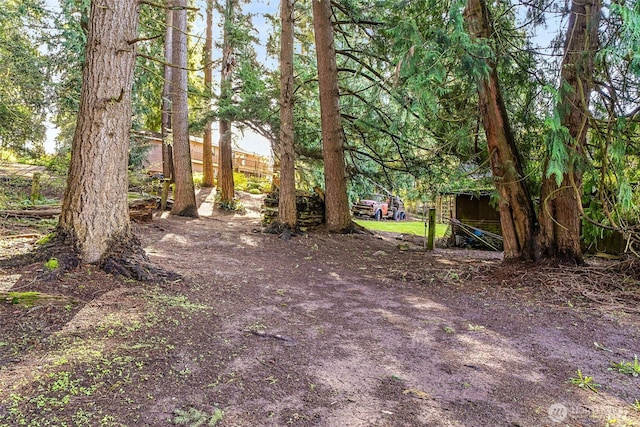 38205 183rd Ave SE, Auburn, WA 98092 - view of yard