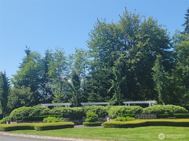 127XX NE 126th Way, Woodinville, WA 98077 - photo 2