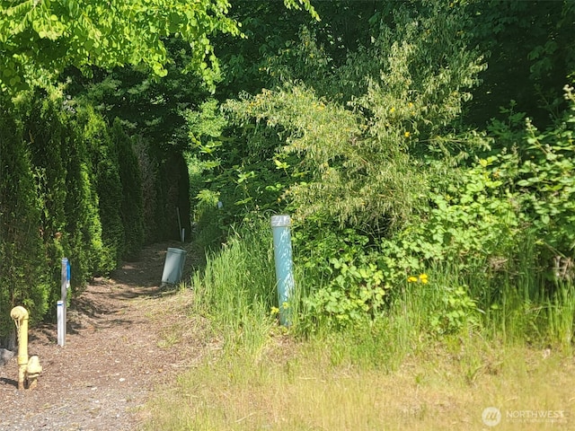 127XX NE 126th Way, Woodinville, WA 98077 - photo 3