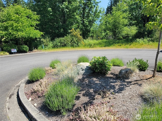 127XX NE 126th Way, Woodinville, WA 98077 - photo 5