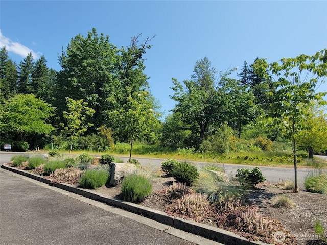 127XX NE 126th Way, Woodinville, WA 98077 - photo 6