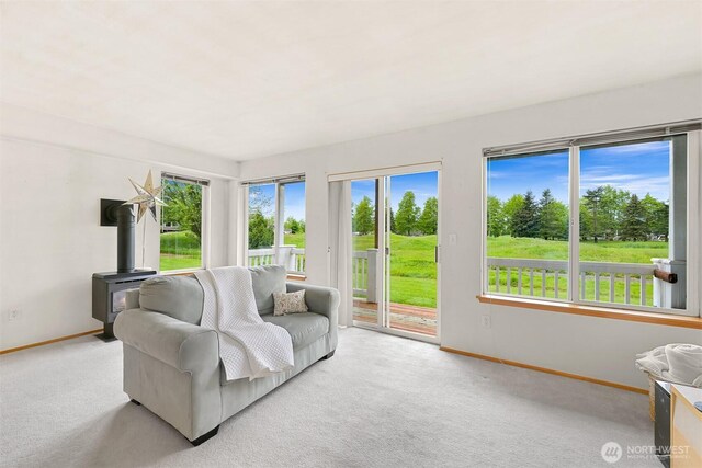 262 W Maberry Dr Unit 102, Lynden, WA 98264 - carpeted living area featuring baseboards and a wood stove