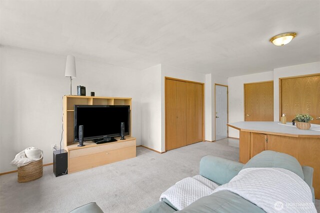 262 W Maberry Dr Unit 102, Lynden, WA 98264 - living area featuring light colored carpet and baseboards