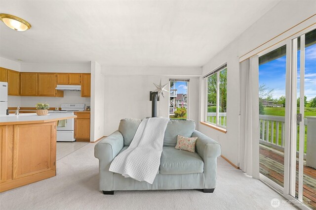 262 W Maberry Dr Unit 102, Lynden, WA 98264 - living room featuring light colored carpet