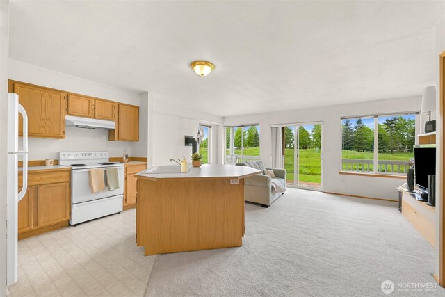 262 W Maberry Dr Unit 102, Lynden, WA 98264 - kitchen with white appliances, under cabinet range hood, open floor plan, and plenty of natural light