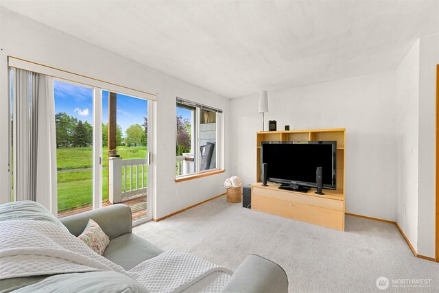 262 W Maberry Dr Unit 102, Lynden, WA 98264 - living room with baseboards and light colored carpet
