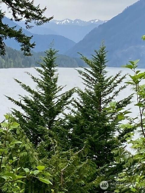 246 N Lakeshore Pl, Hoodsport, WA 98548 - photo 1