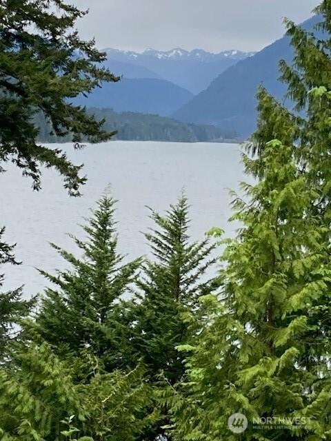 246 N Lakeshore Pl, Hoodsport, WA 98548 - photo 2
