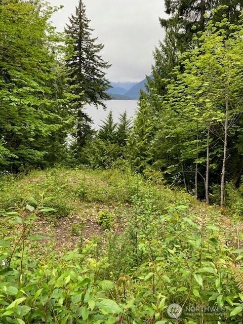 246 N Lakeshore Pl, Hoodsport, WA 98548 - photo 3