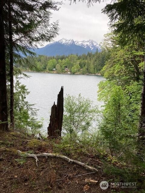 246 N Lakeshore Pl, Hoodsport, WA 98548 - photo 4