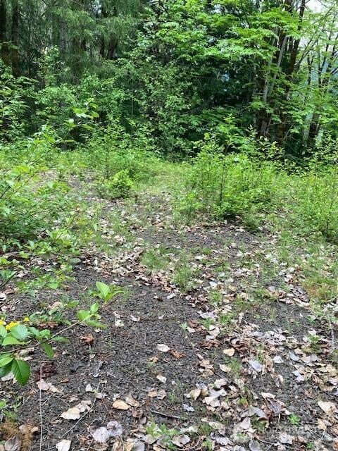 246 N Lakeshore Pl, Hoodsport, WA 98548 - photo 5