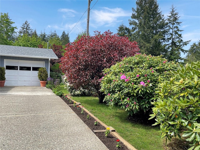 2147 Beverly Blvd, Shelton, WA 98584 - view of yard featuring driveway