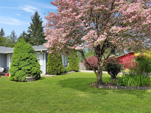 2147 Beverly Blvd, Shelton, WA 98584 - view of green lawn