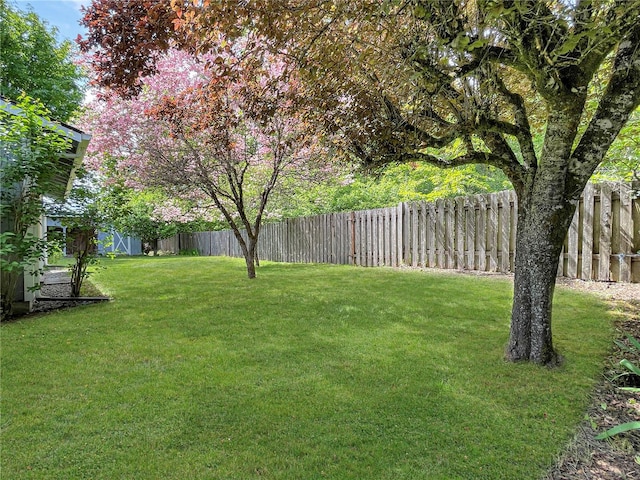 2147 Beverly Blvd, Shelton, WA 98584 - view of yard