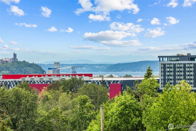 2042 E Harrison St, Tacoma, WA 98404 - water view with nearby urban area and a mountain backdrop
