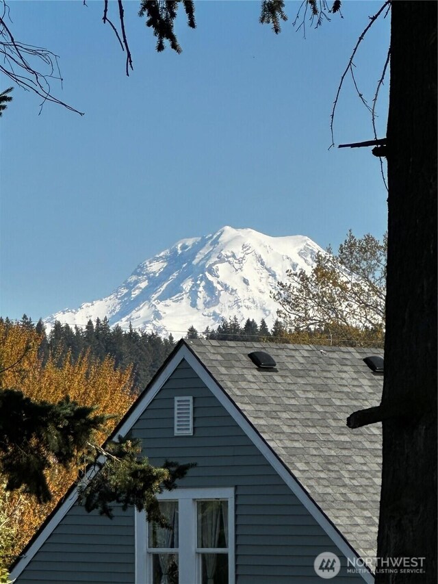 1212 4th Ave SW, Puyallup, WA 98371 - photo 28