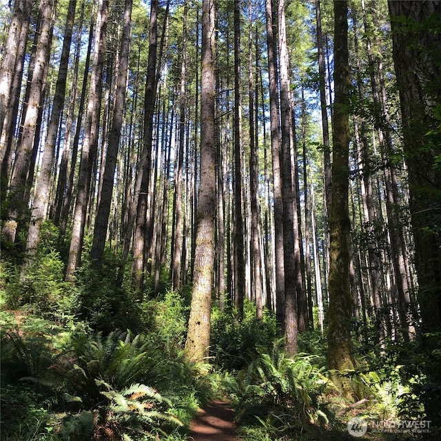 11197 Killdeer Ln NE, Bainbridge Island, WA 98110 - view of wooded area