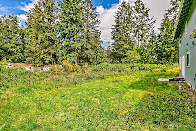 13218 197th St E, Graham, WA 98338 - view of yard